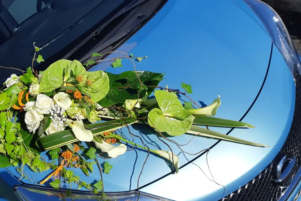 Histoire de Fleurs Tarbes — photo 3