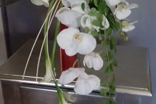 Histoire de Fleurs Tarbes — photo 4