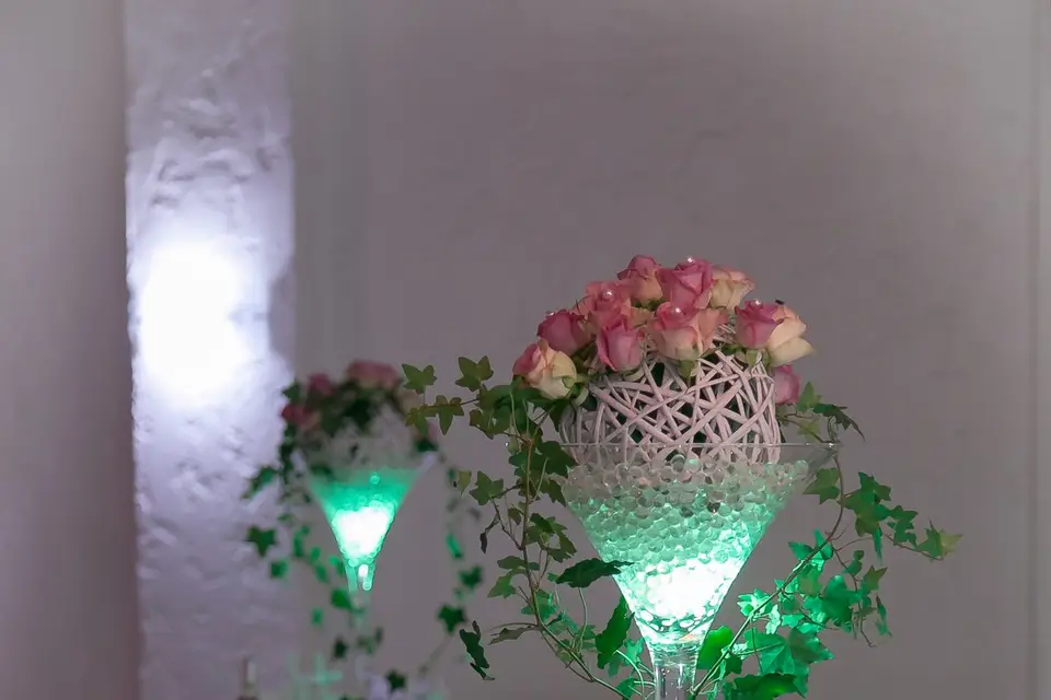 Vision d'Un Jour — photo 6