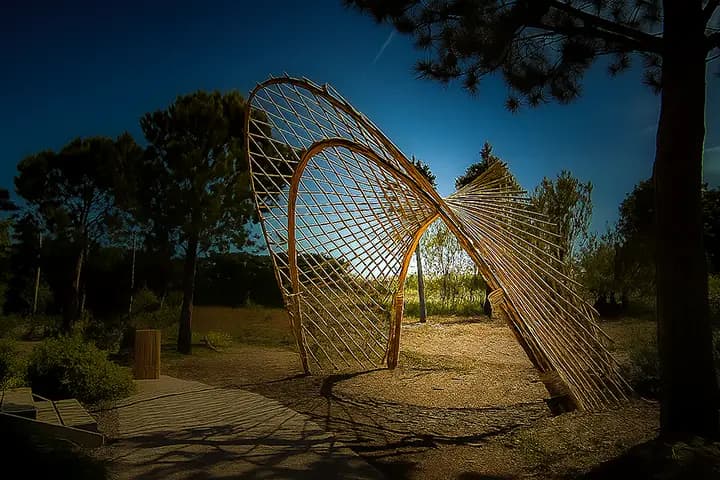 Cannes Vivantes de Provence — photo 6