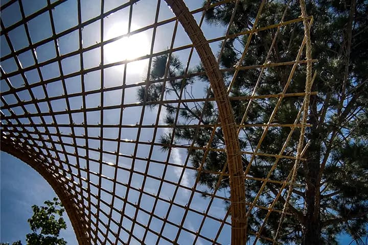 Cannes Vivantes de Provence — photo 7