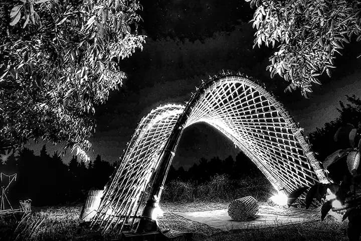 Cannes Vivantes de Provence — photo 8