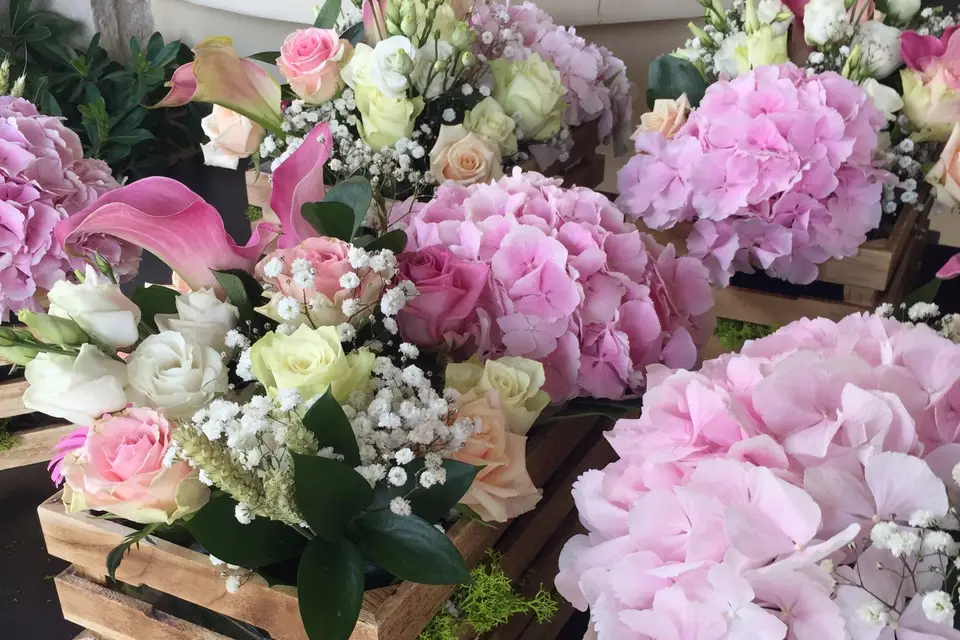 Lili Events — photo 2