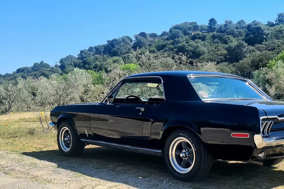 Agence Pariente — photo 4