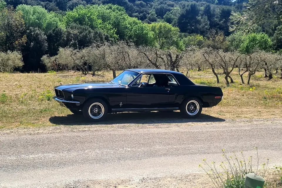 Agence Pariente — photo 5