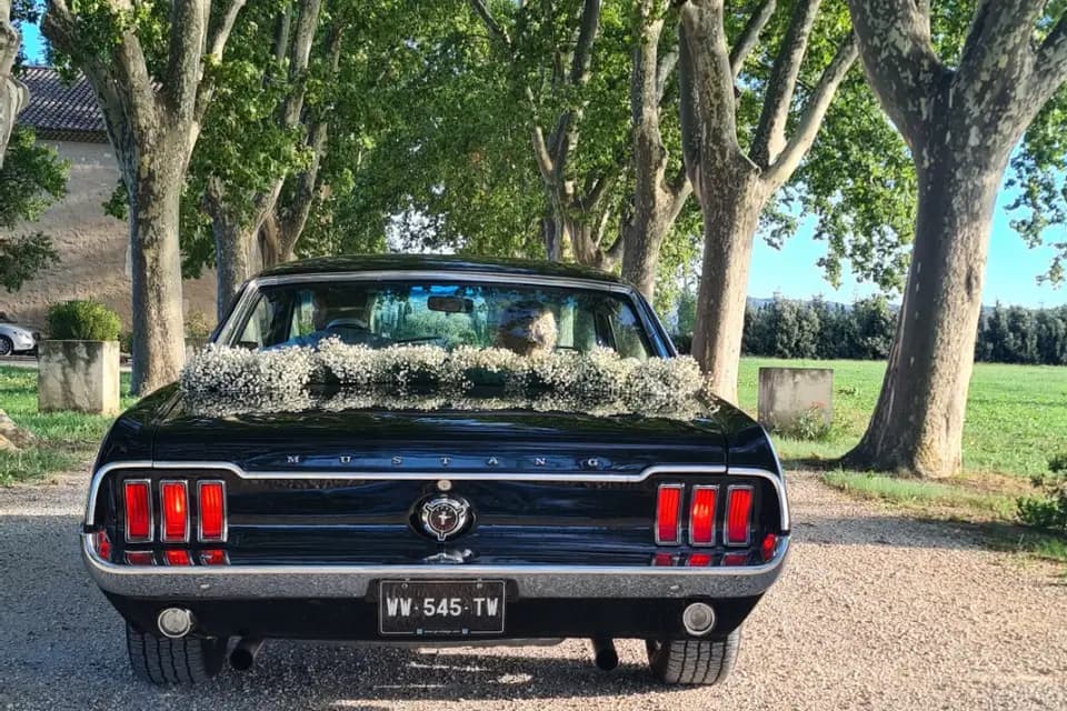 Agence Pariente — photo 1