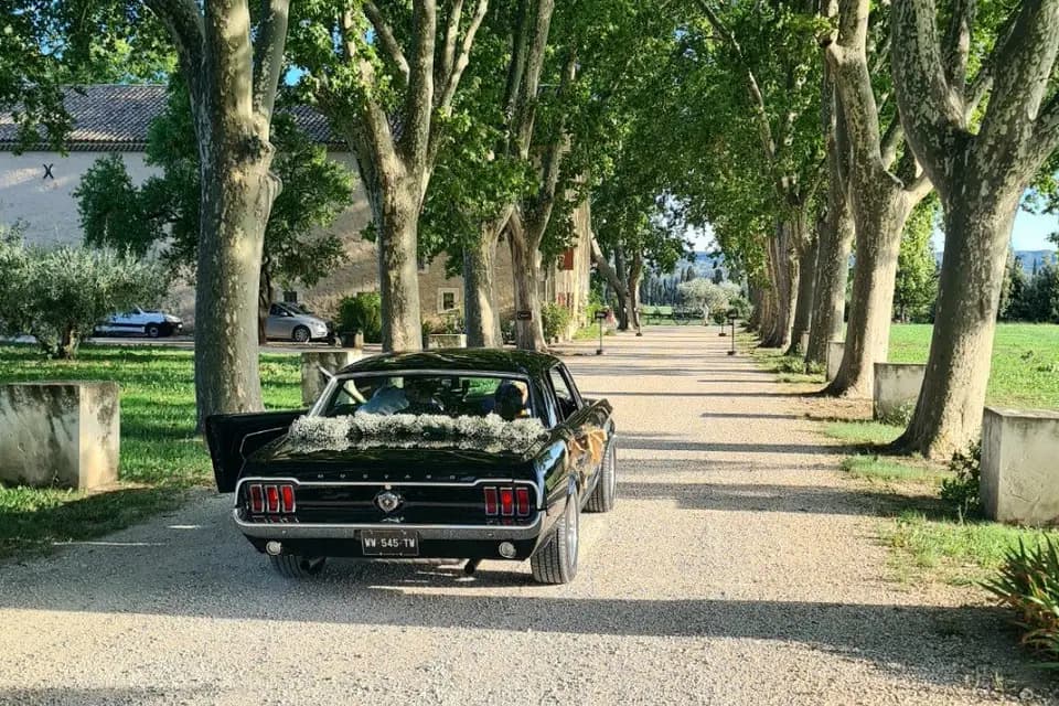 Agence Pariente — photo 2