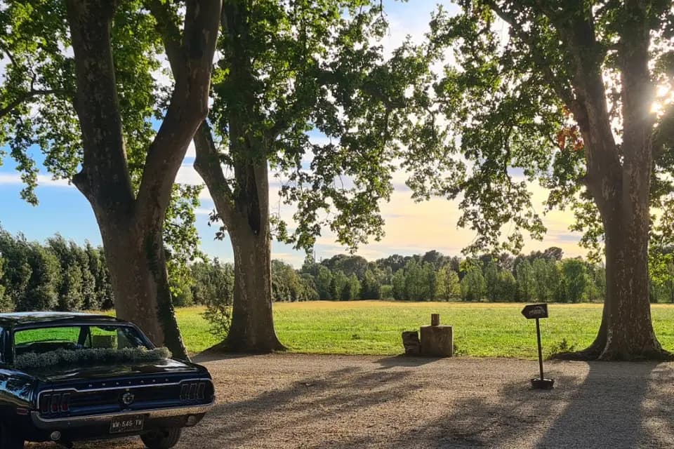 Agence Pariente — photo 7