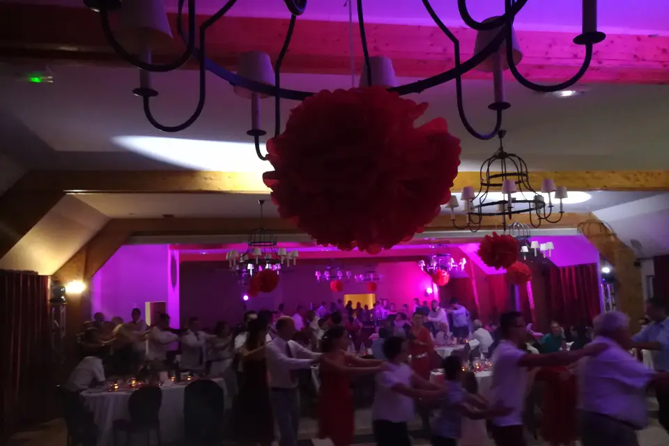 Succès Animation — photo 7