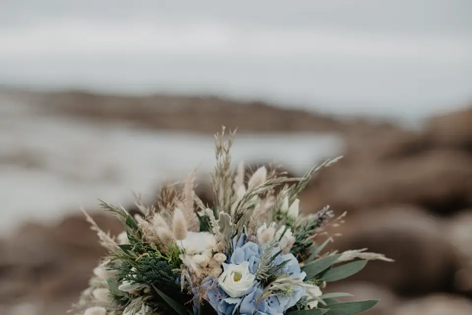 A Main Nue — photo 2