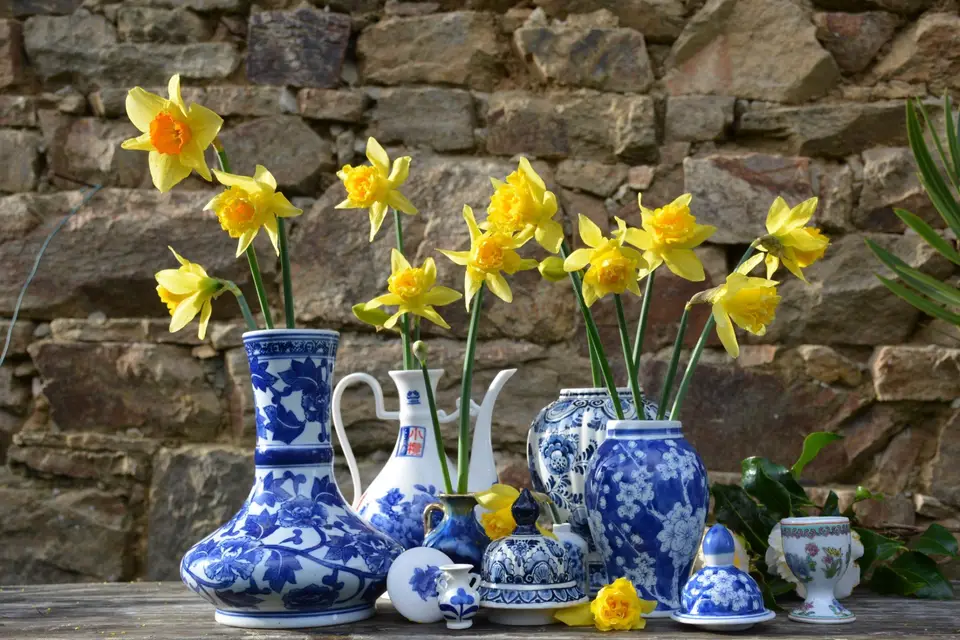 A Main Nue — photo 6