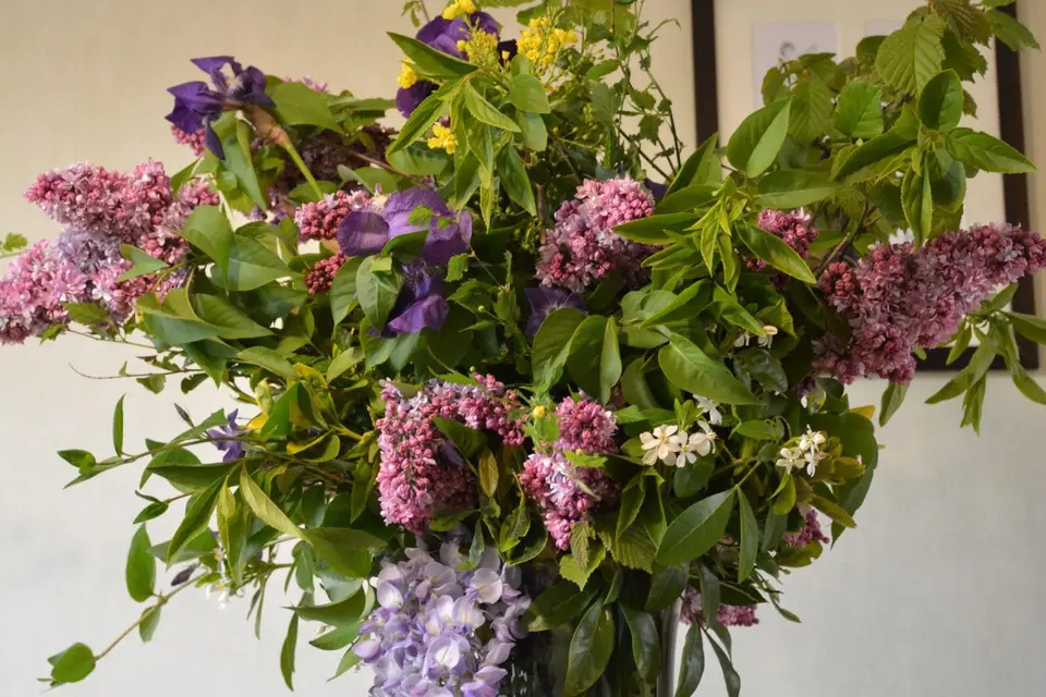 A Main Nue — photo 3