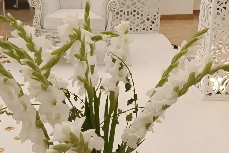 Rabynm Location — photo 3