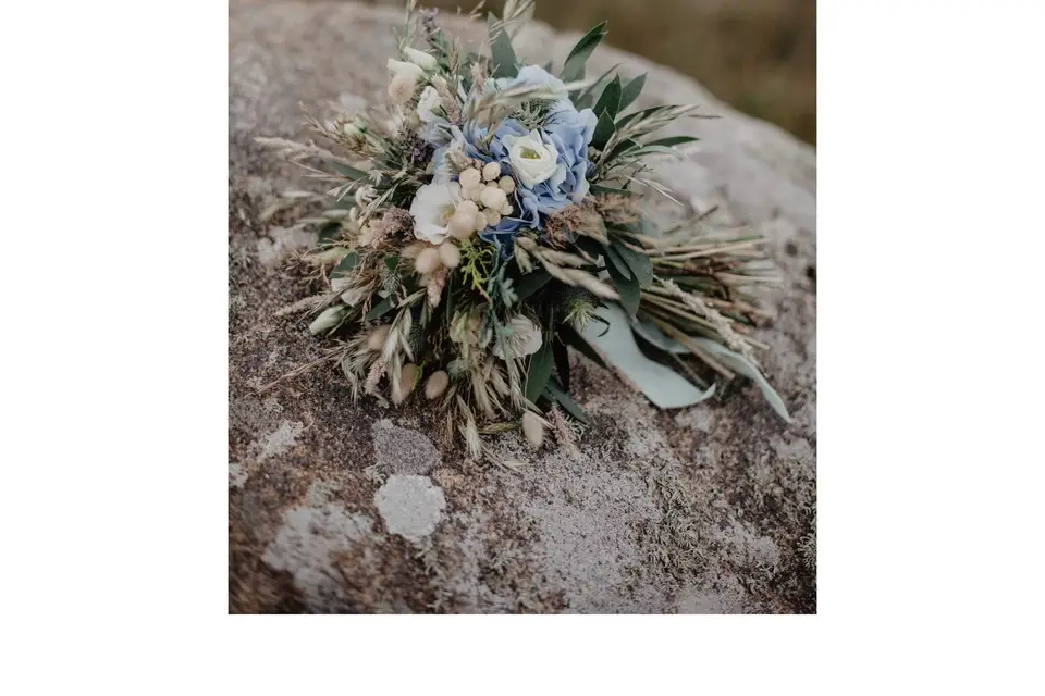 A Main Nue — photo 7