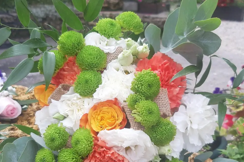 Des Bulles et des Rêves — photo 3