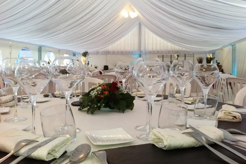 Scene Plus — photo 2