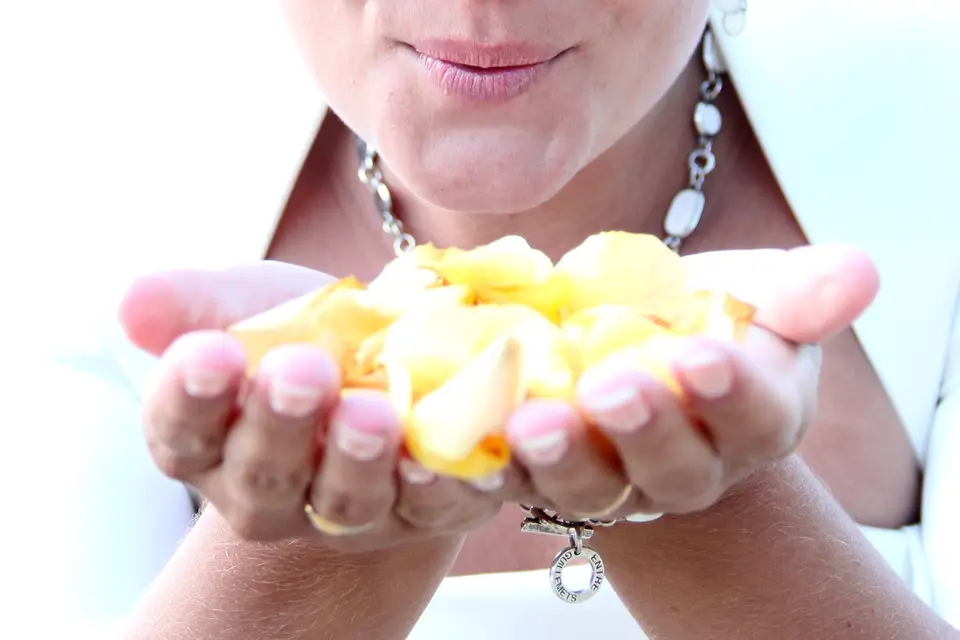 Des Bulles et des Rêves — photo 1