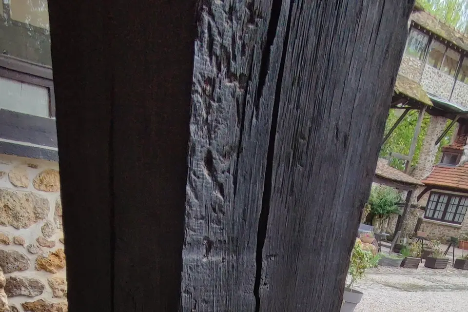 Once Upon Your Dream — photo 2