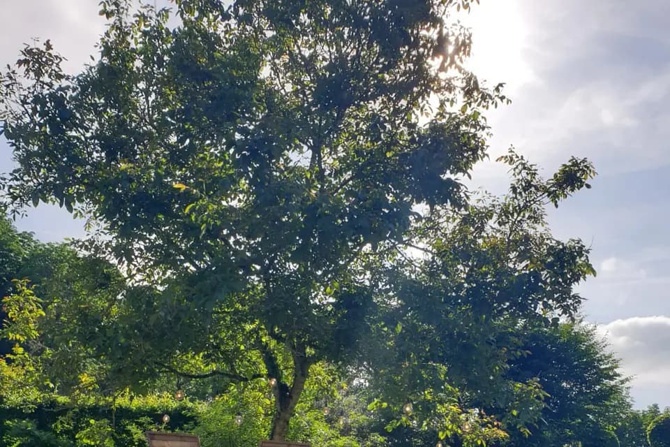 Once Upon Your Dream — photo 3