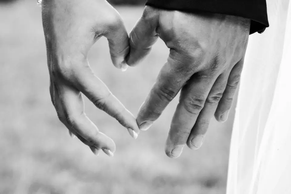 Sha Zoom — photo 3