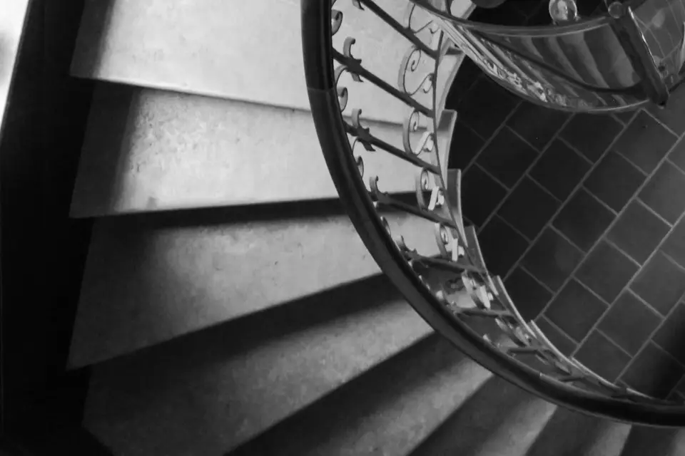 Sha Zoom — photo 4