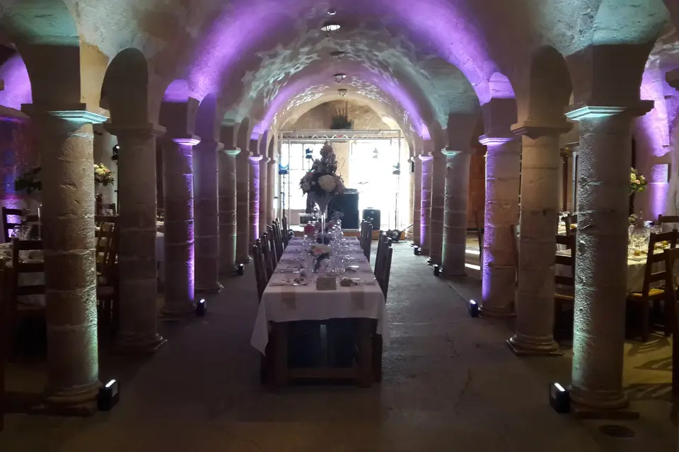 dB Animation — photo 8