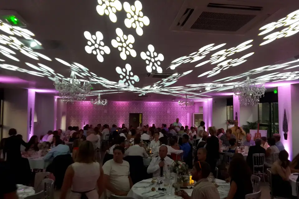 dB Animation — photo 1