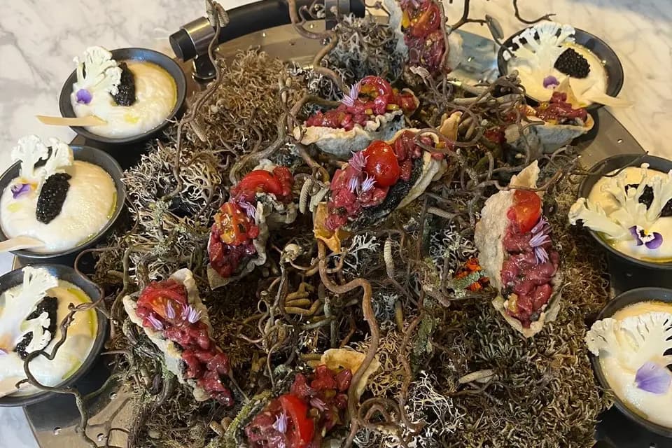 Nomad chef at home — photo 6