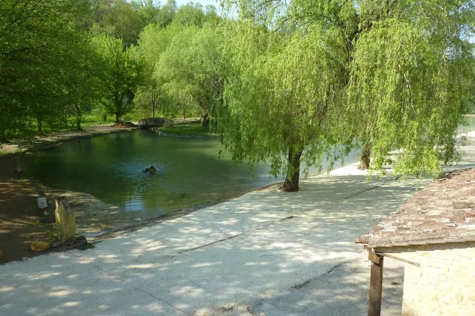 Moulin de Surier — photo 4