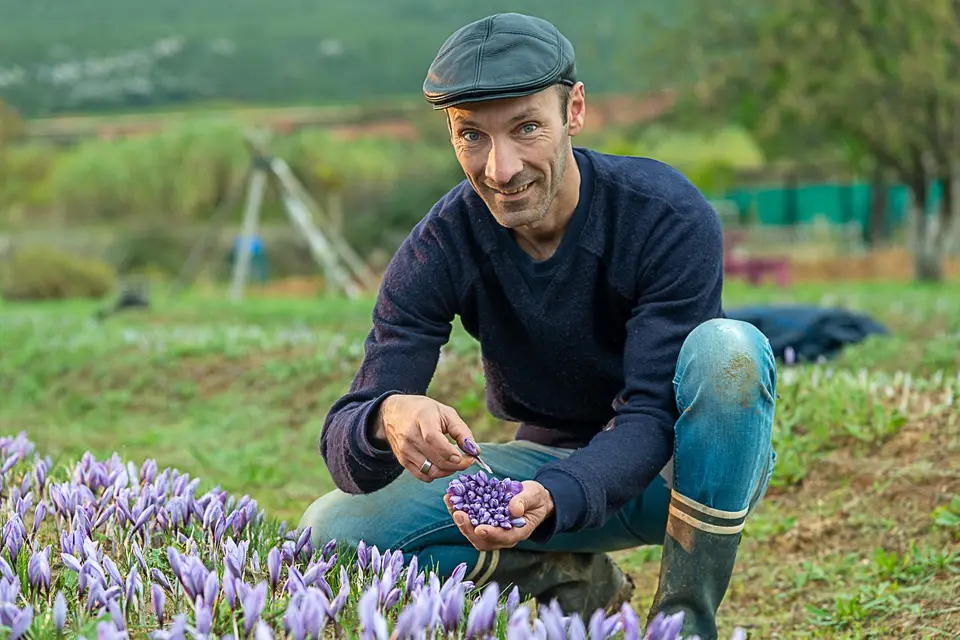 My Home Farmer — photo 1