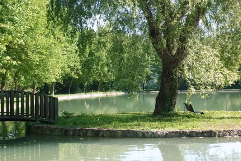 Moulin de Surier — photo 3