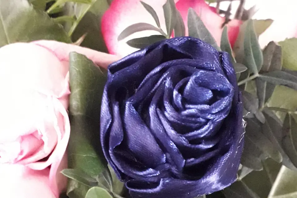 Cérémonies — photo 5