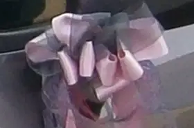 Cérémonies — photo 6