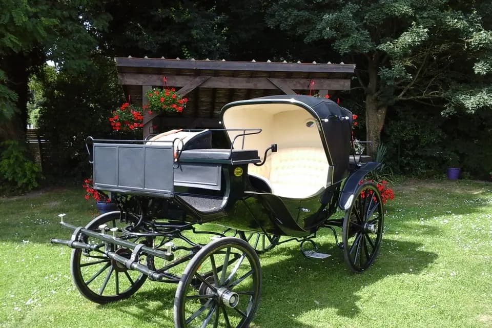 Nicolas Vincent — photo 7