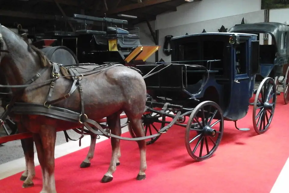 Nicolas Vincent — photo 1