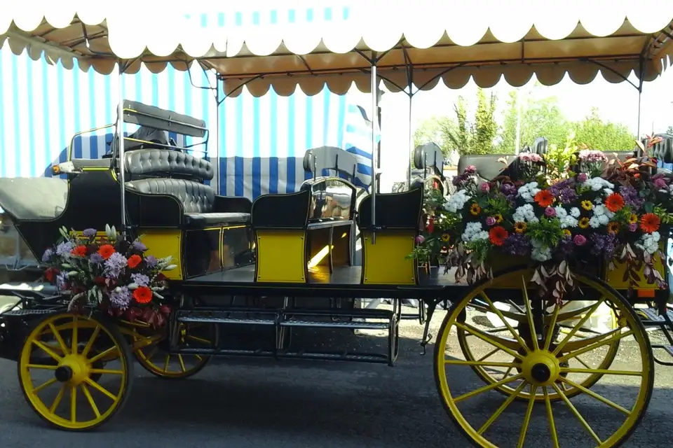 Nicolas Vincent — photo 2