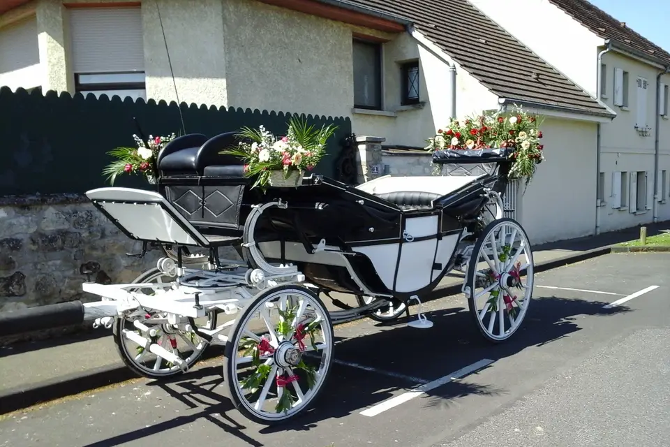 Nicolas Vincent — photo 6