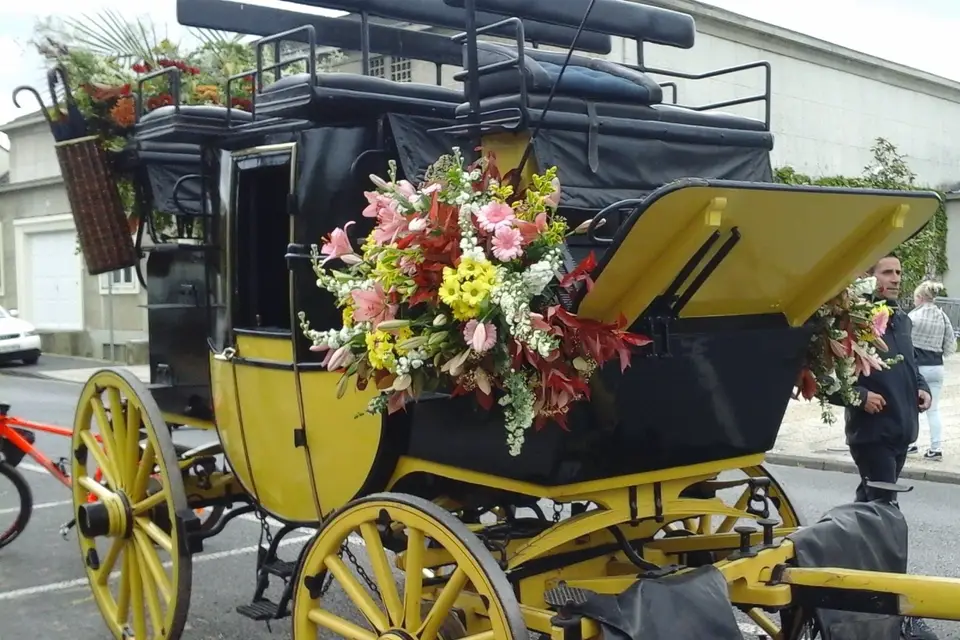 Nicolas Vincent — photo 4