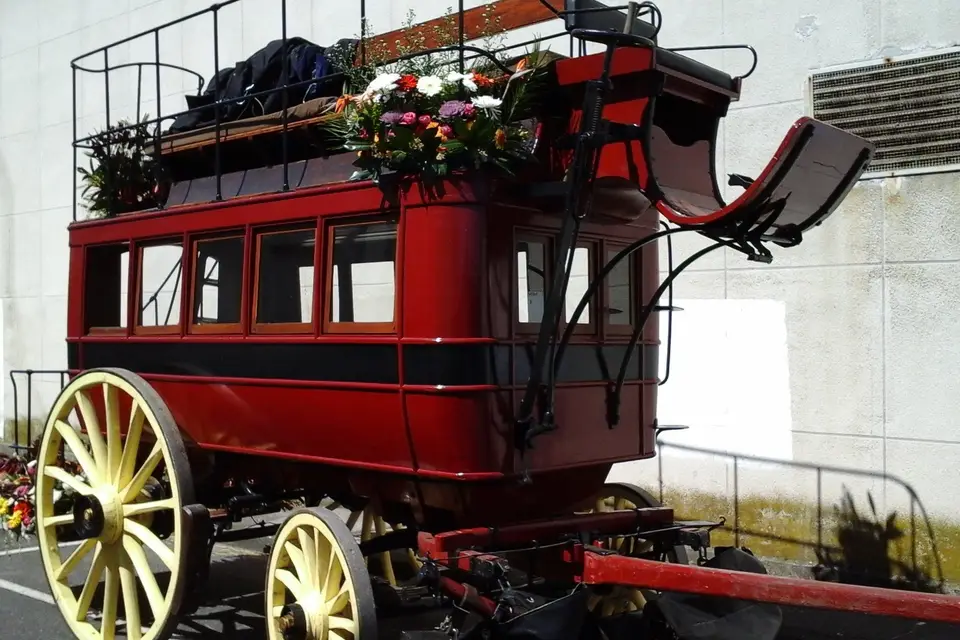 Nicolas Vincent — photo 5