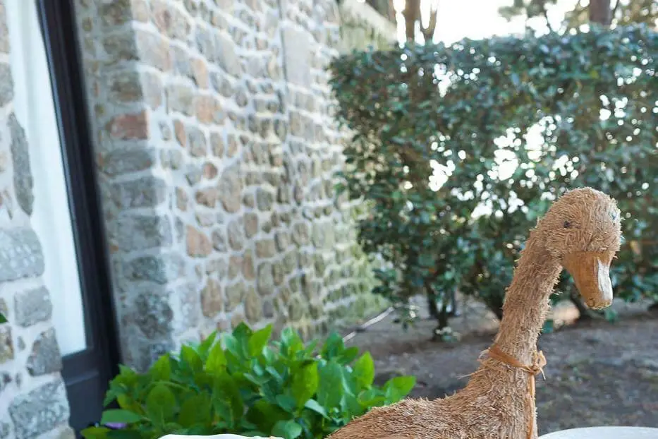 Pascal Jenvrin — photo 5