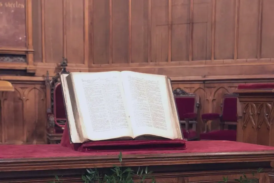 L'Aurore Florale — photo 4