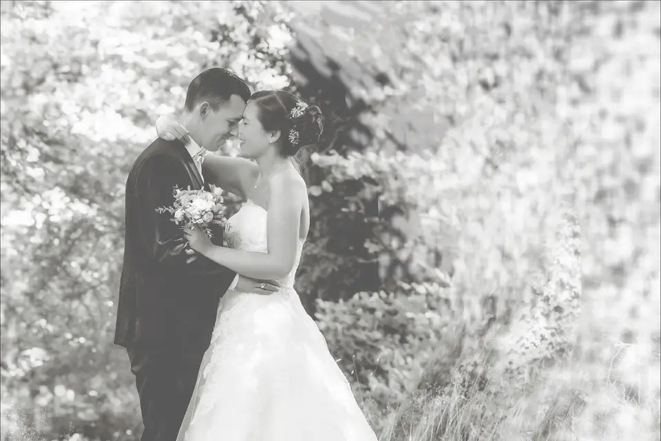 APN Studio — photo 5