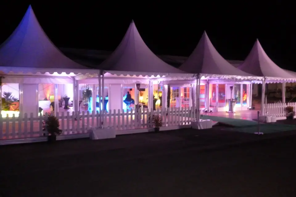 Lesage Structure — photo 7