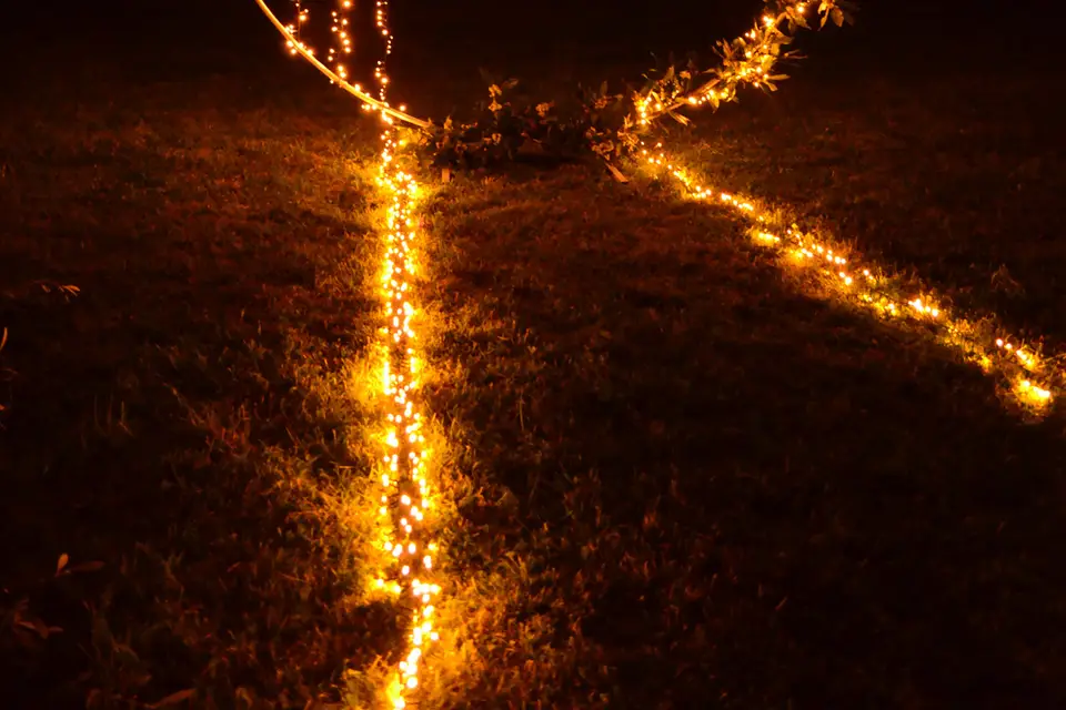 Décor Events — photo 5