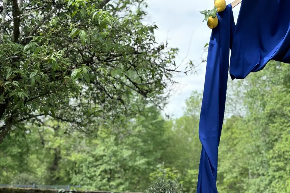 Soleil et Mimosa — photo 5