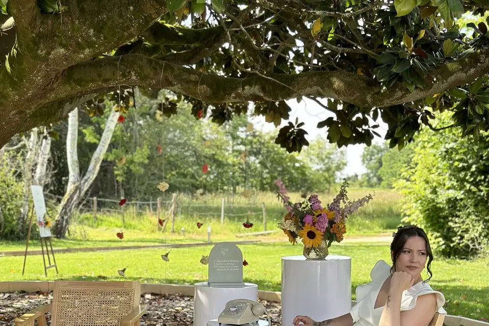 Soleil et Mimosa — photo 1