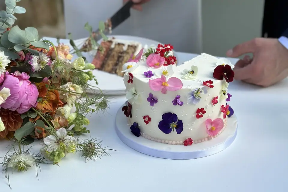 Soleil et Mimosa — photo 6