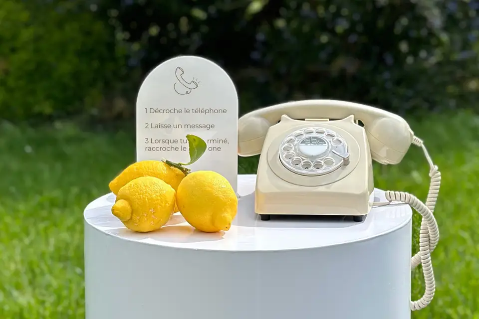 Soleil et Mimosa — photo 2