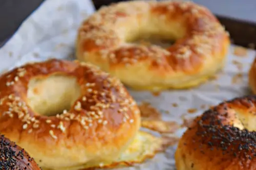 Miss Bagel 56 — photo 1