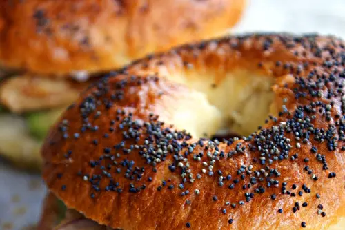 Miss Bagel 56 — photo 3